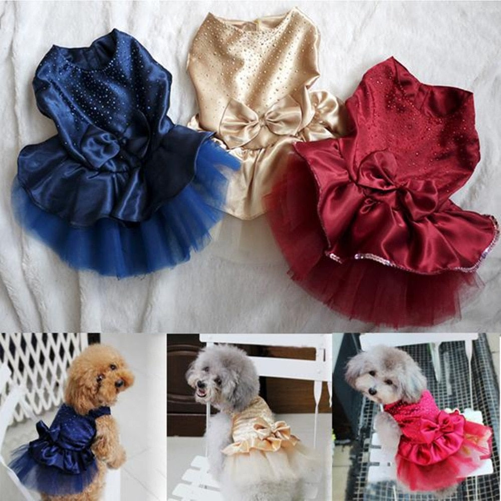 The Perfect Dog Wedding Dress for Your Furry Friend