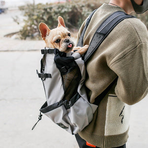 Discover the Ultimate Pet Carrier for Your Adventures