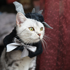 Halloween Super Cute Bat Little Wing Hooded Cloak - A Must-Have for Spooky Season!