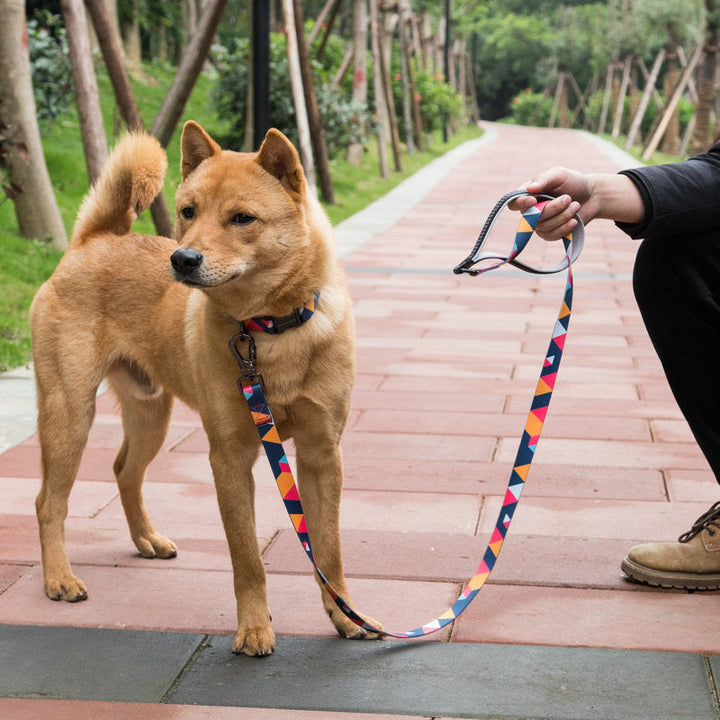 The Ultimate Pet Leash for Every Adventure