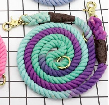 Discover the Perfect Companion for Your Furry Friend