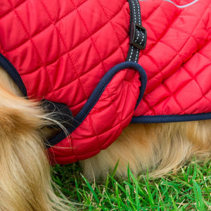Adjustable Warm Pet Cotton Jacket For Comfort