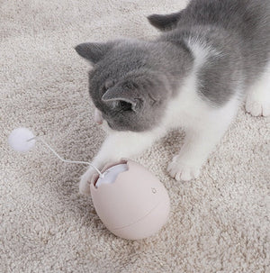 Engage Your Feline with the Funny Interactive Toy for Pets