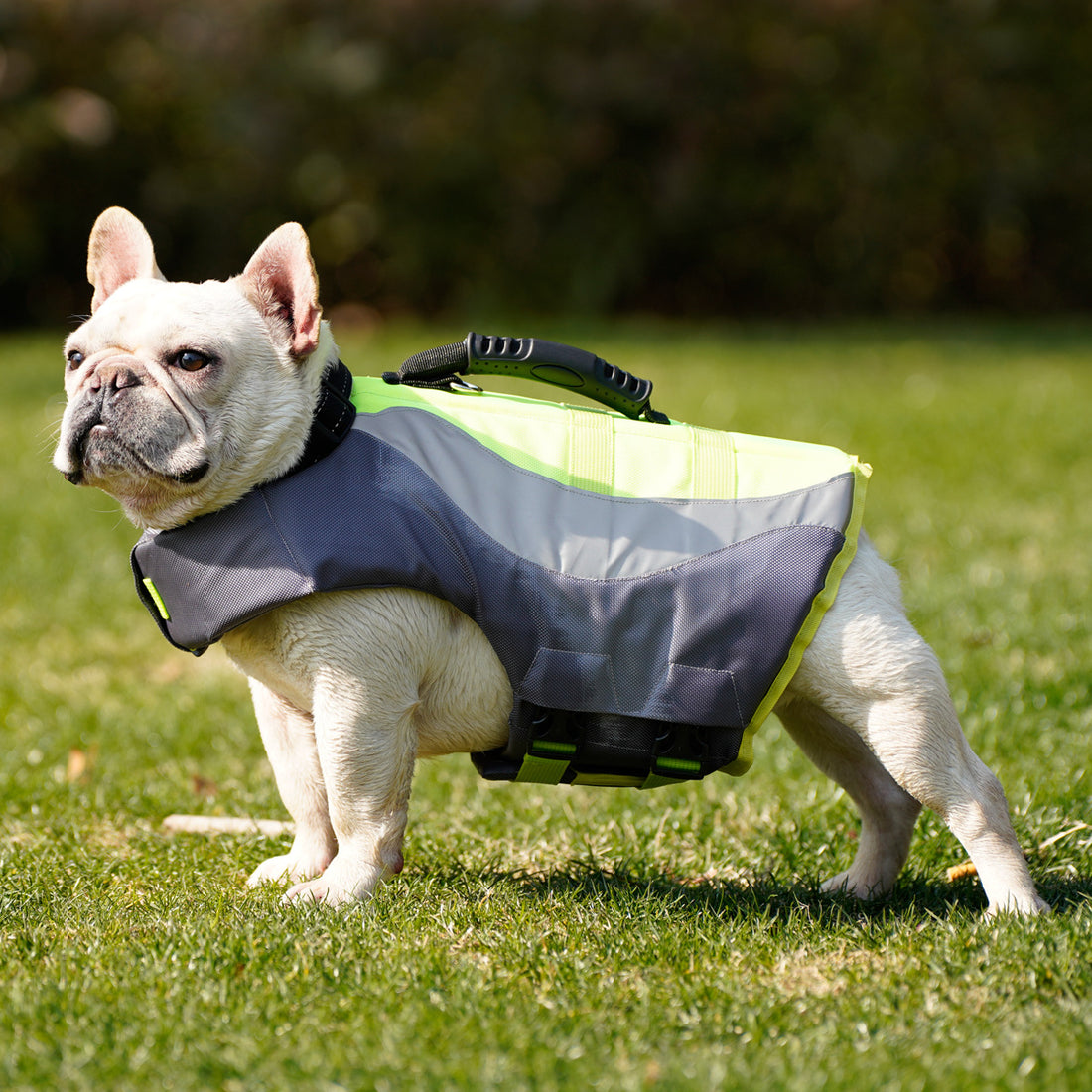 Reflective Pet Life Jacket Swimsuit For Safety