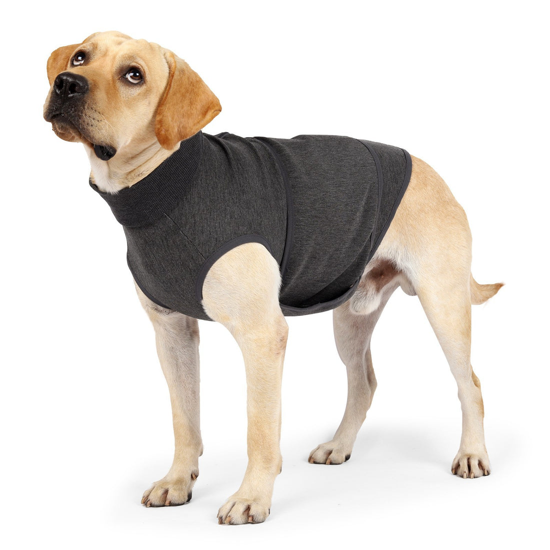 Polyester Comfort Cotton Double-Layer Jacket For Pets