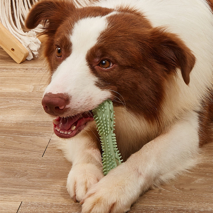 Teeth Cleaning Chew Toy For Pets