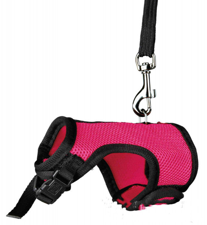 Small Pet Leash Lightweight Adjustable Walking Lead