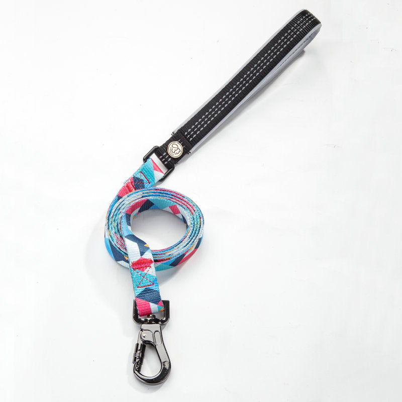 Pet Leash Durable Adjustable Walking Lead Everyday Outdoor Use