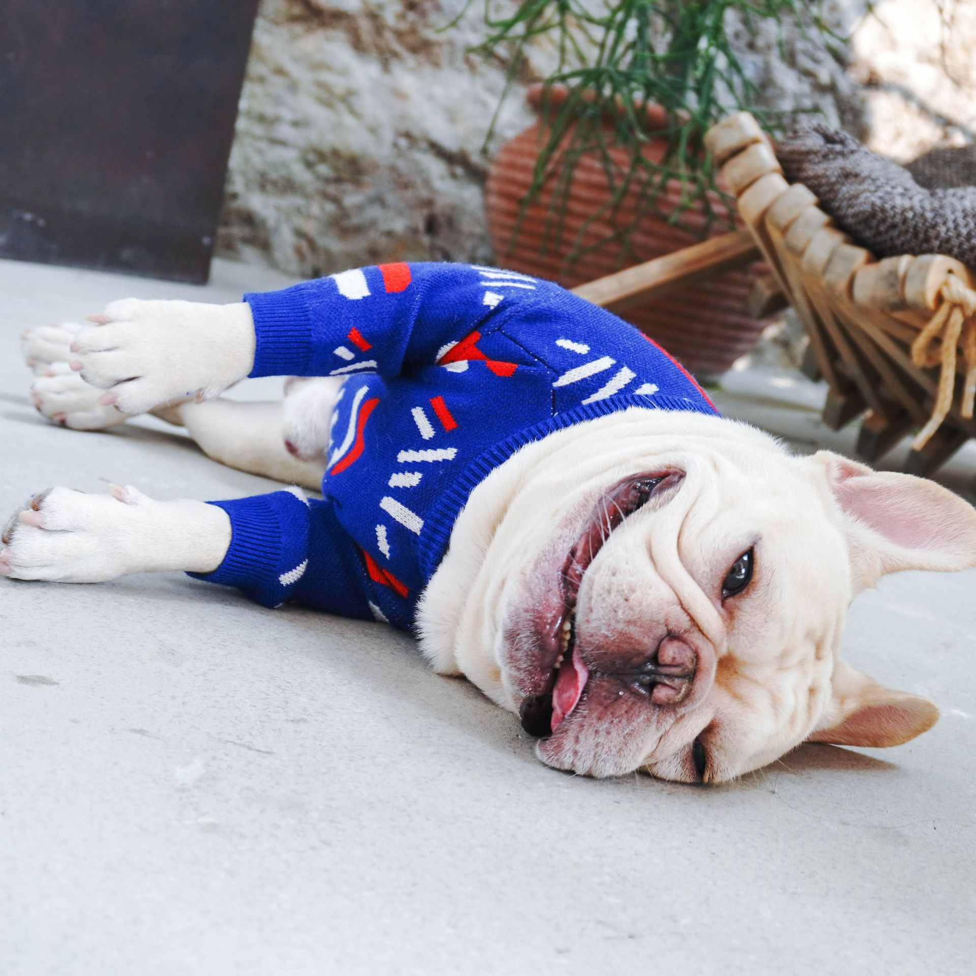 Warm Pet Knit Sweater Comfortable Pullover For Outdoors