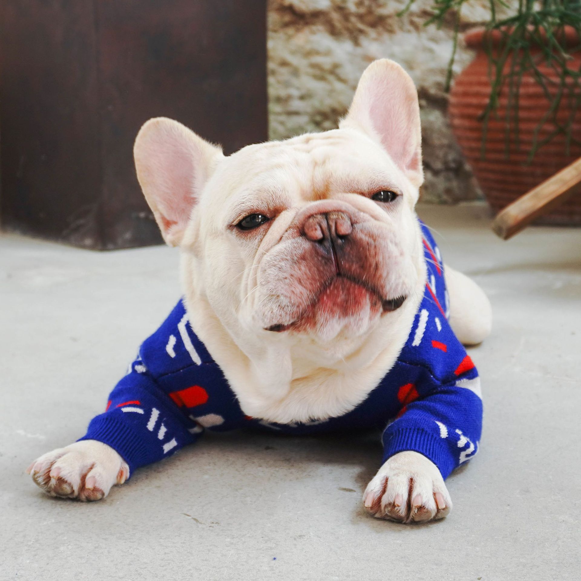 Warm Pet Knit Sweater Comfortable Pullover For Outdoors