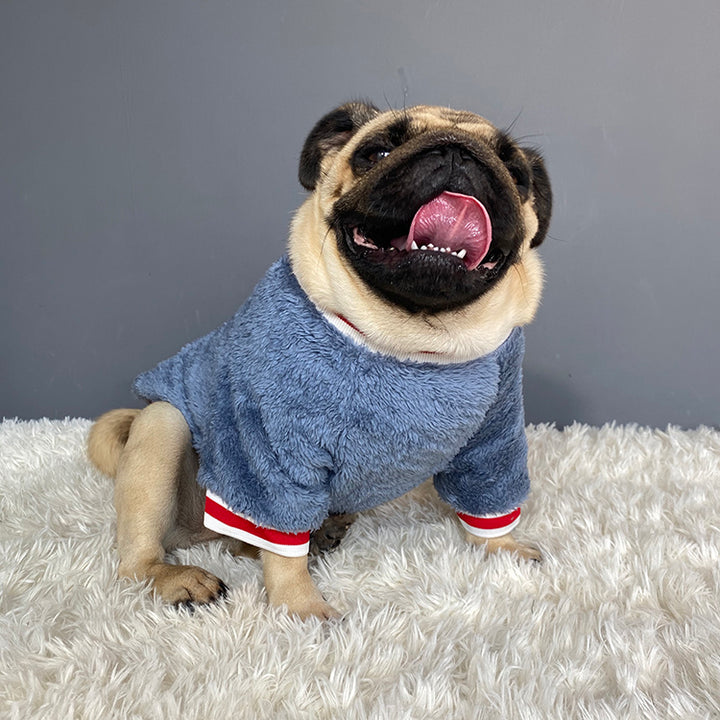 Cozy Knitted Sweater For Pets