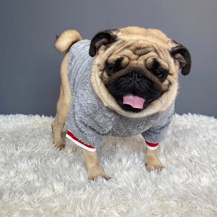 Cozy Knitted Sweater For Pets