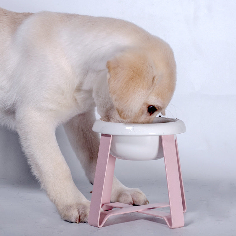 Creative Anti-Slip 2-in-1 Food and Water Bowl With Stand For Pets