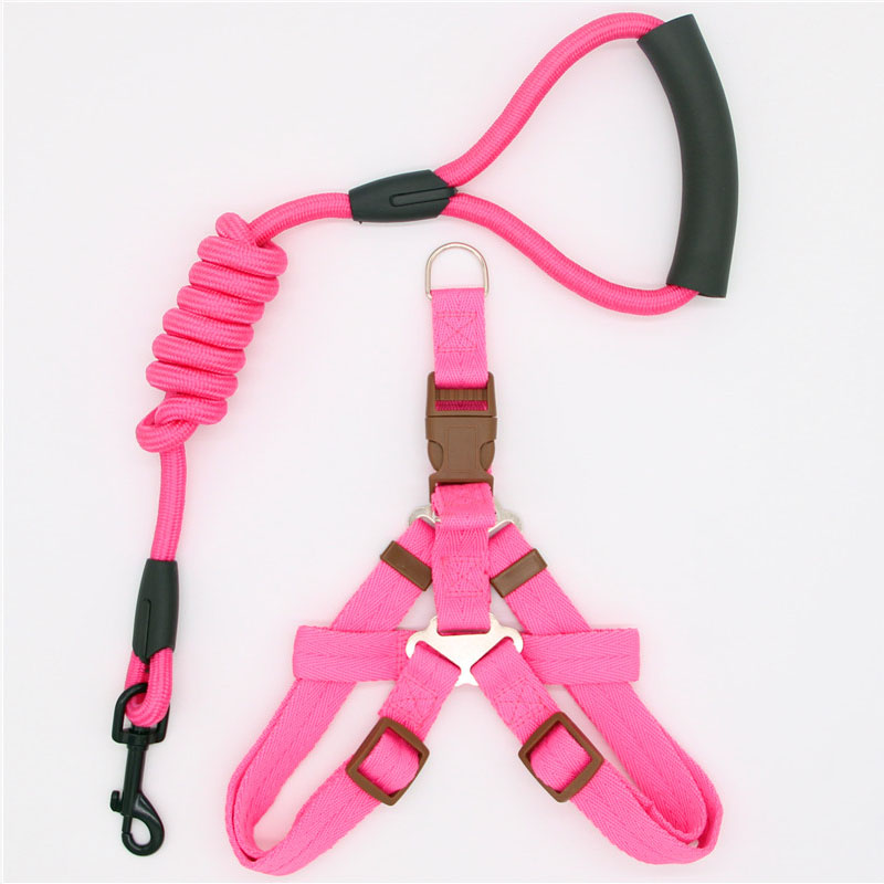 Simple Pet Leash Durable Adjustable Everyday Walking Lead