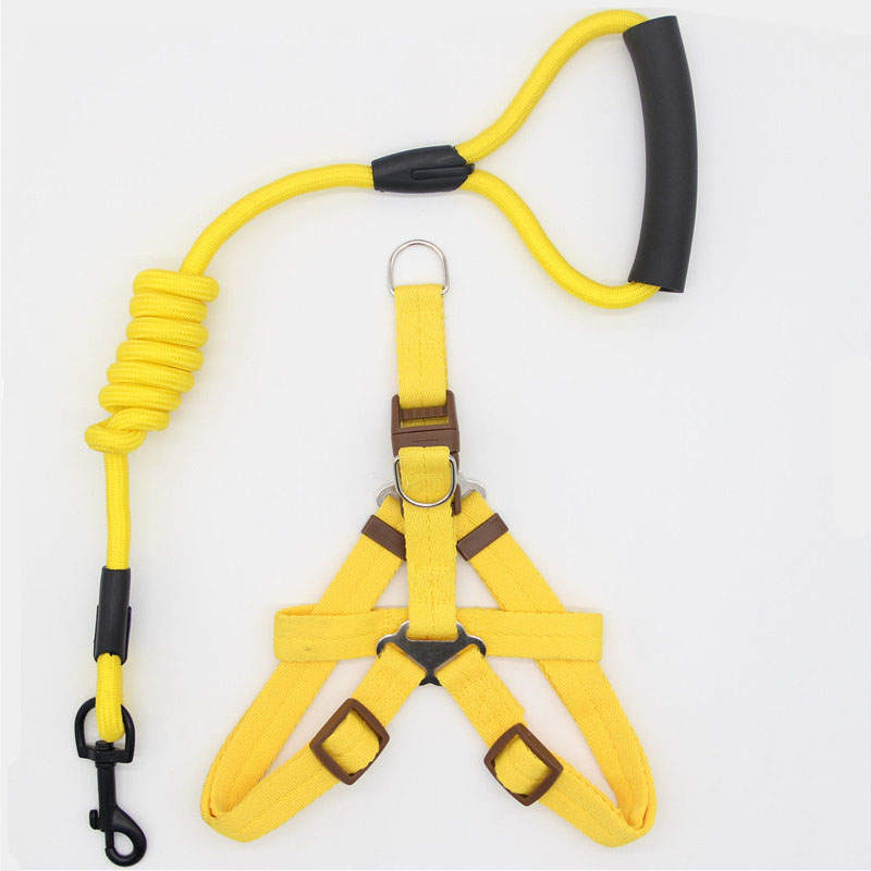 Simple Pet Leash Durable Adjustable Everyday Walking Lead