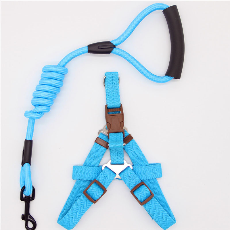 Simple Pet Leash Durable Adjustable Everyday Walking Lead