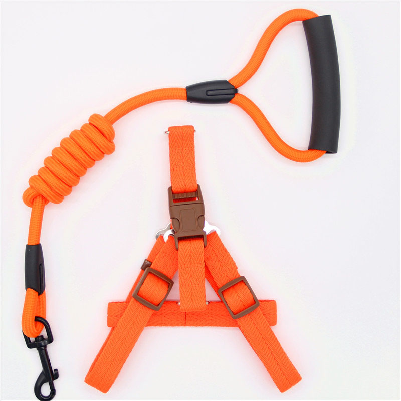 Simple Pet Leash Durable Adjustable Everyday Walking Lead