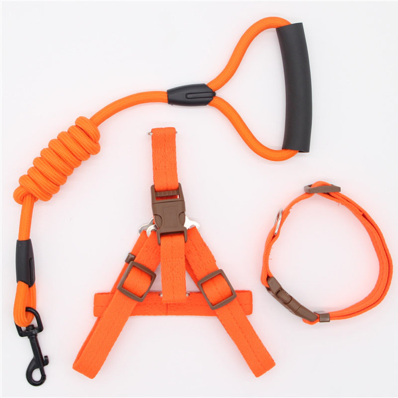 Simple Pet Leash Durable Adjustable Everyday Walking Lead
