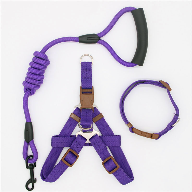 Simple Pet Leash Durable Adjustable Everyday Walking Lead
