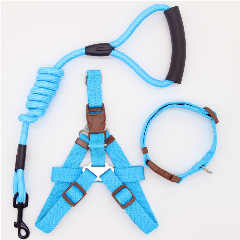 Simple Pet Leash Durable Adjustable Everyday Walking Lead