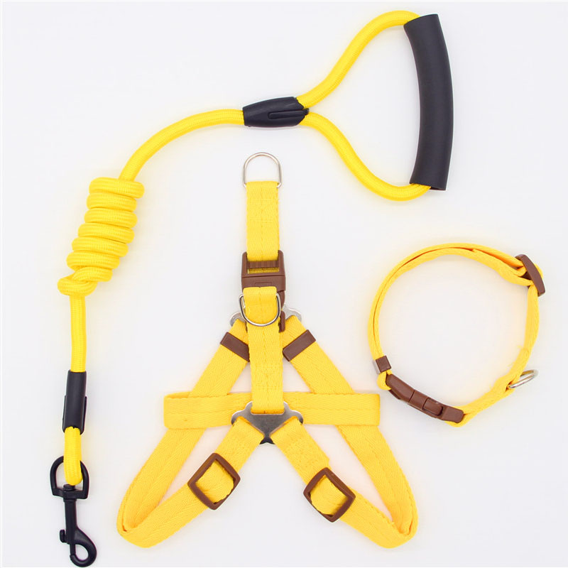 Simple Pet Leash Durable Adjustable Everyday Walking Lead