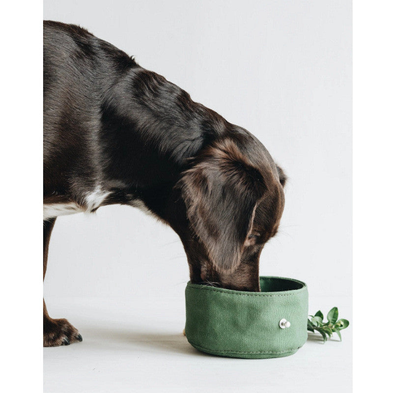 Folding Canvas Water and Food Bowl For Pets Portable Use