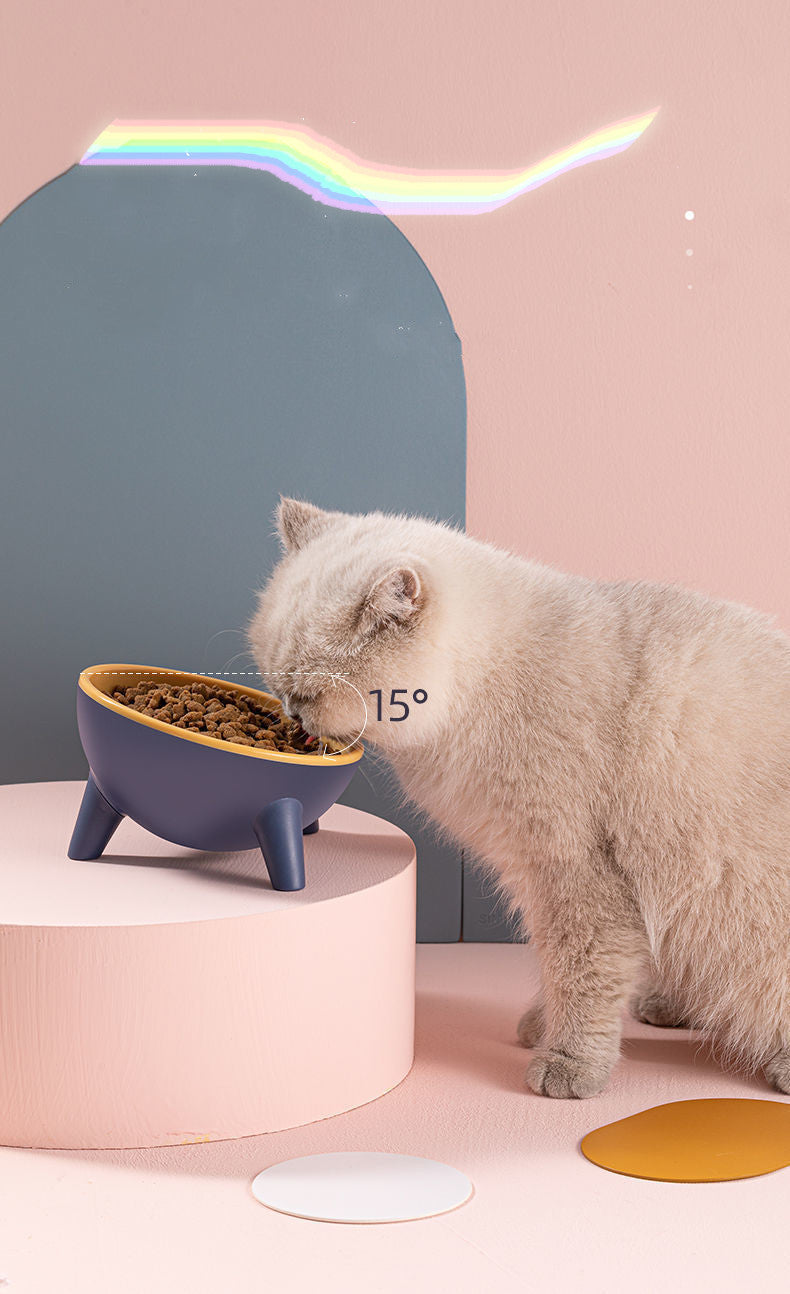 Nordic-Style Food Bowl With Stand For Pets