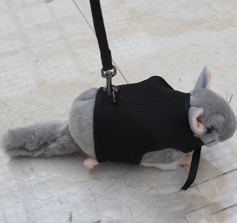 Small Pet Leash Lightweight Adjustable Walking Lead
