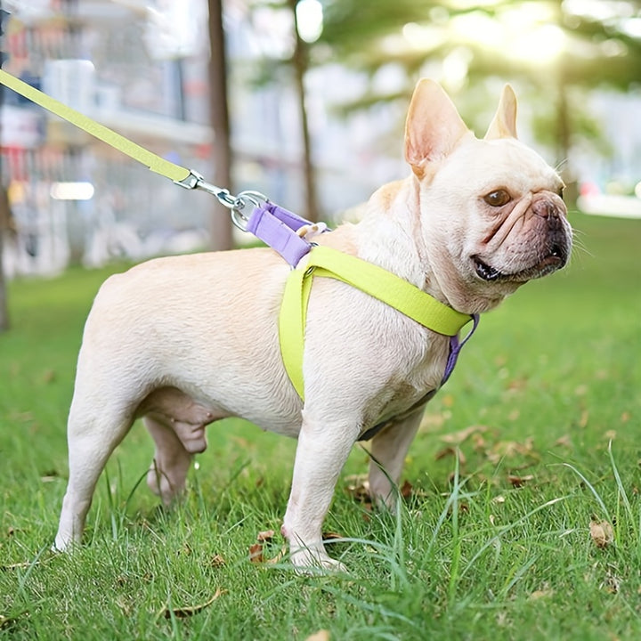 Rainbow Colorblock Pet Harness Set Anti Escape Adjustable Vest Leash