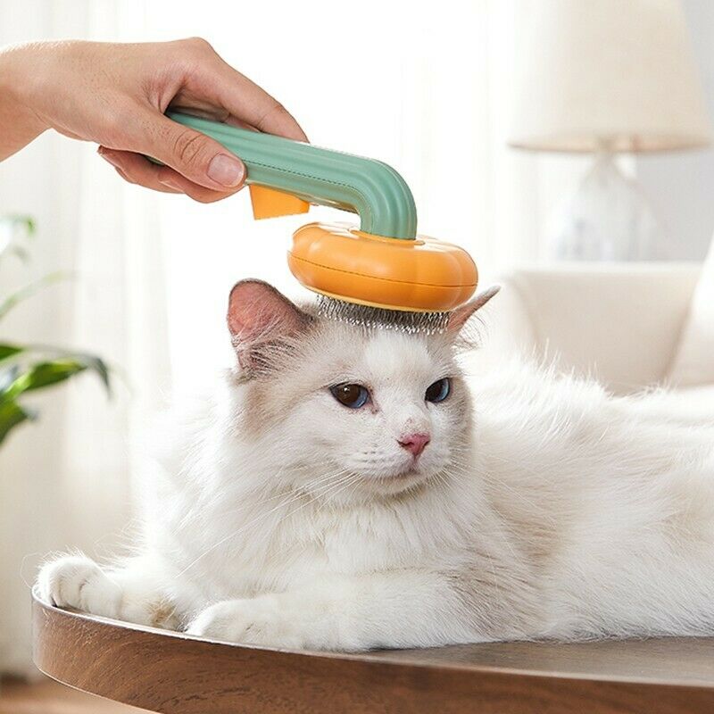 Self Cleaning Pet Slicker Brush Removes Loose Hair And Mats