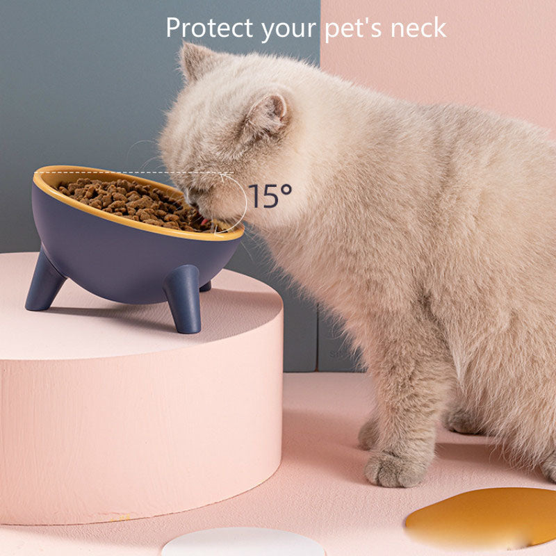Nordic-Style Food Bowl With Stand For Pets