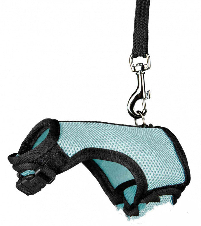 Small Pet Leash Lightweight Adjustable Walking Lead
