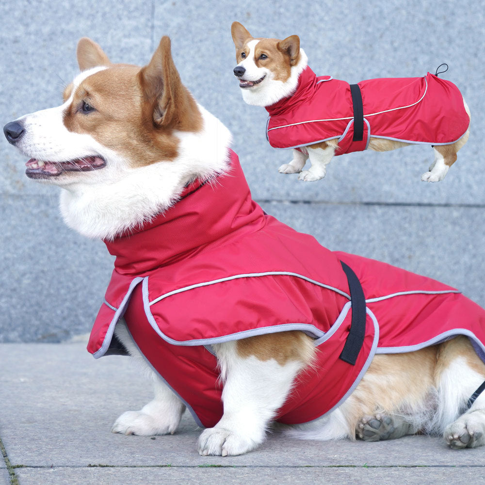 Warm Pet Shell Jacket For Outdoor Comfort