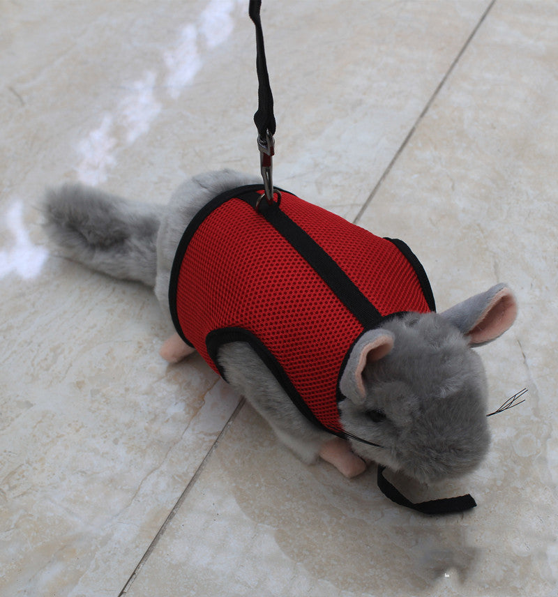 Small Pet Leash Lightweight Adjustable Walking Lead