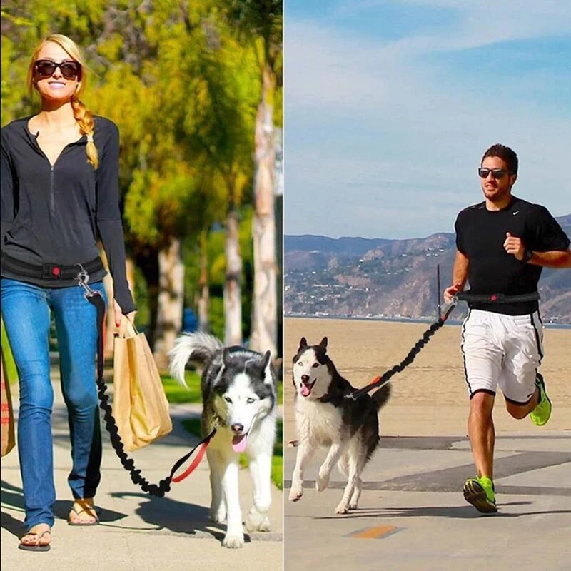 Adjustable Pet Harness Collar Leash For Jogging And Walking