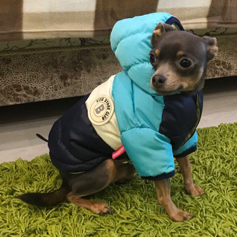 Waterproof Warm Pet Cotton Padded Jacket For Outdoors