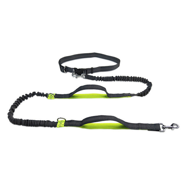Adjustable Pet Harness Collar Leash For Jogging And Walking