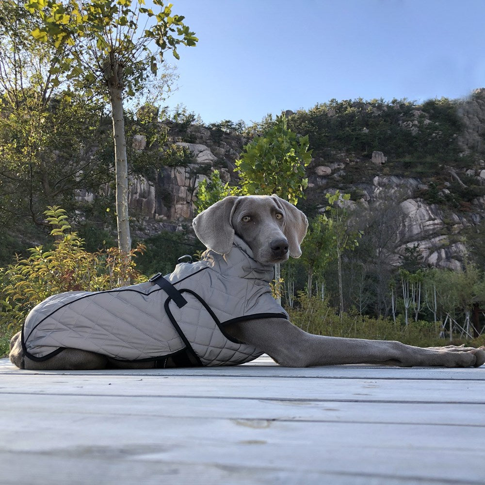 Full-Body Reflective Pet Tactical Jacket Outdoor Safety Coat