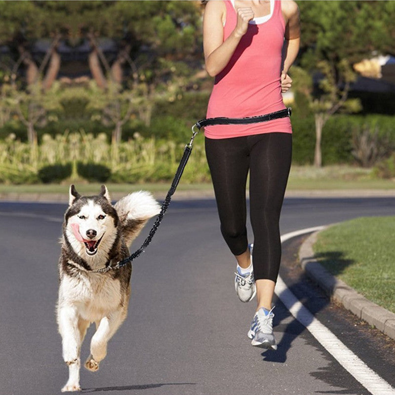 Adjustable Pet Harness Collar Leash For Jogging And Walking