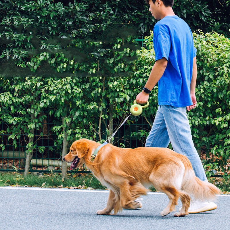 Retractable Pet Leash Reflective Rope Durable Adjustable Walking Lead