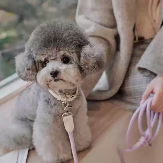 Leather Pet Collar And Leash Set Handheld Walking Rope
