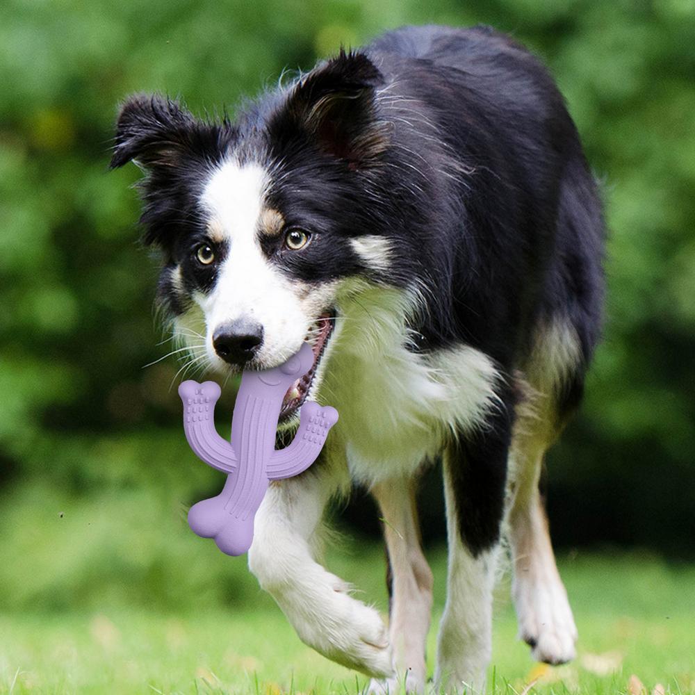 Ultra-Durable Cactus Chew Toy Interactive Toy For Pets