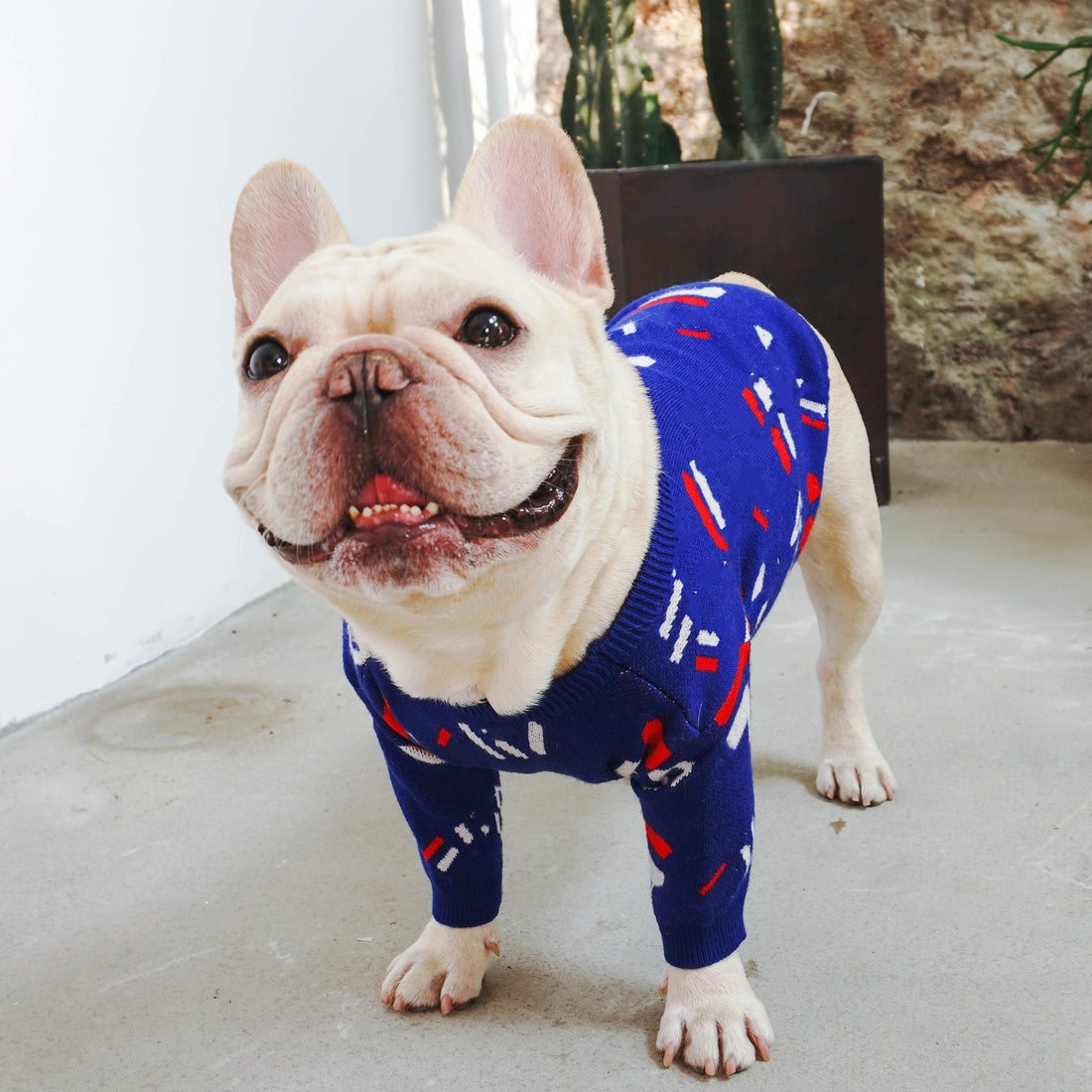 Warm Pet Knit Sweater Comfortable Pullover For Outdoors