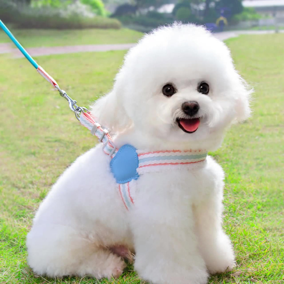 Breathable Pet Harness Vest Leash Adjustable Walking Outdoor Gear