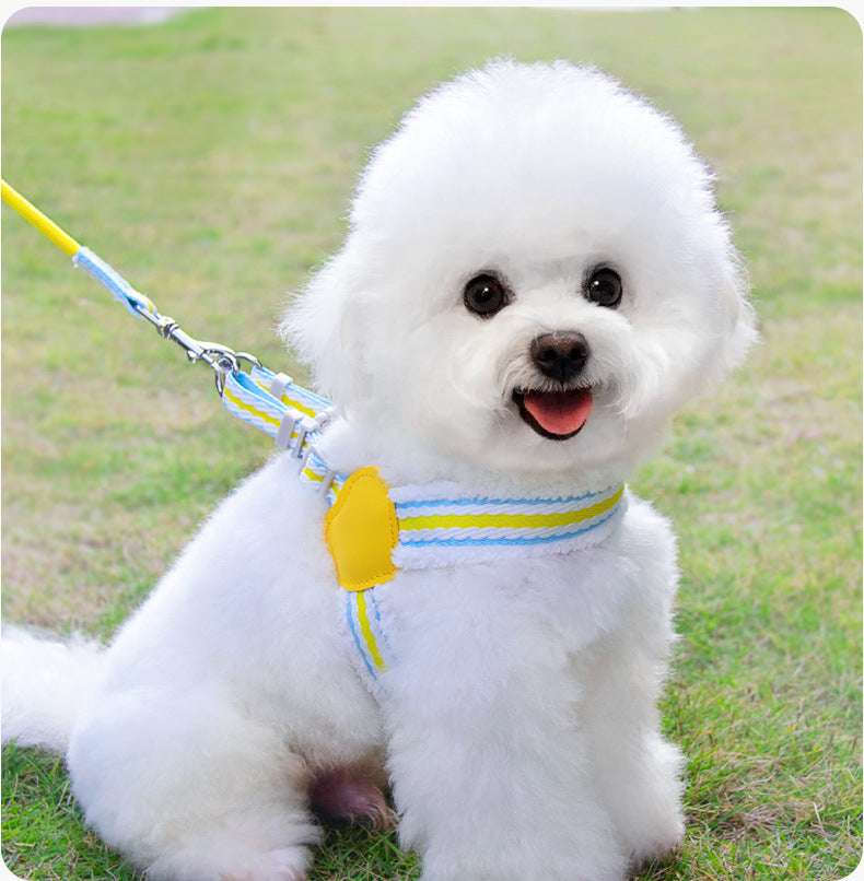 Breathable Pet Harness Vest Leash Adjustable Walking Outdoor Gear