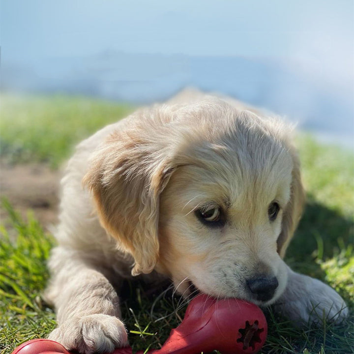 Bite-Resistant Rubber Chew Toys For Pets