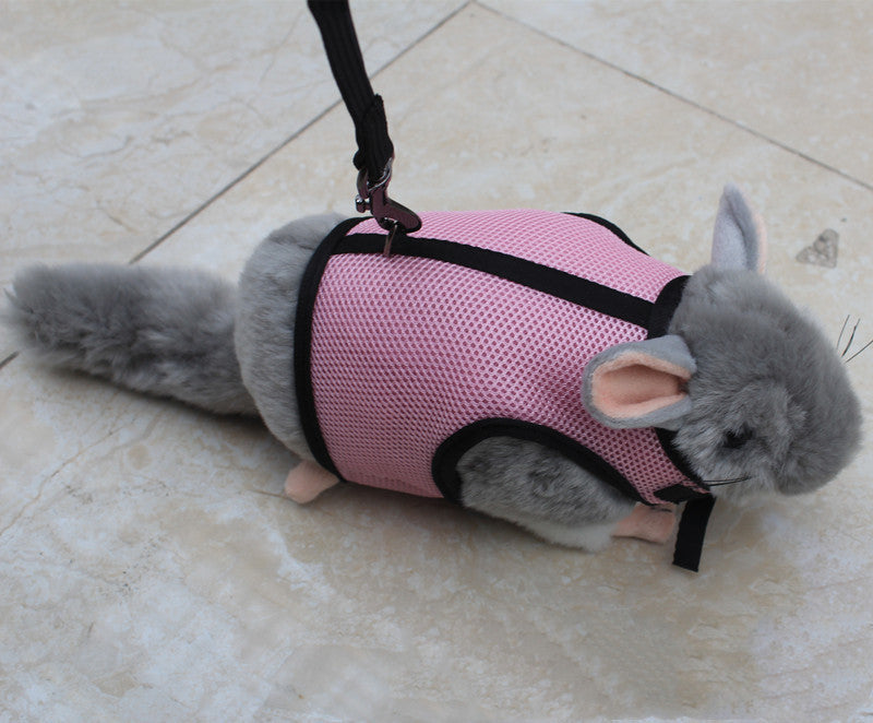 Small Pet Leash Lightweight Adjustable Walking Lead