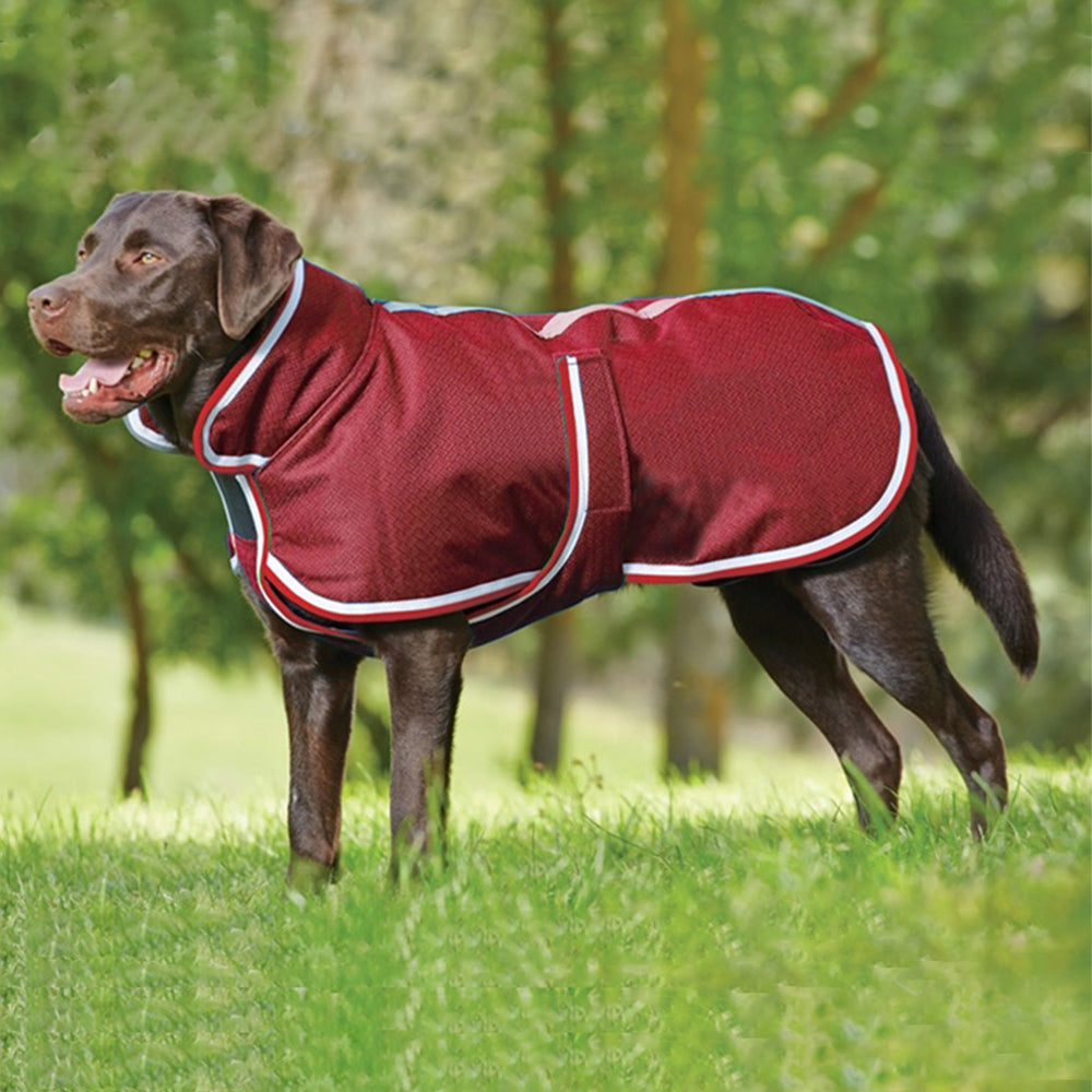 Warm Waterproof Leisure Jacket For Pets Autumn Winter