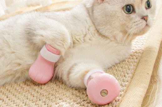 Anti-Scratch Pet Bath Gloves For Grooming And Cleaning