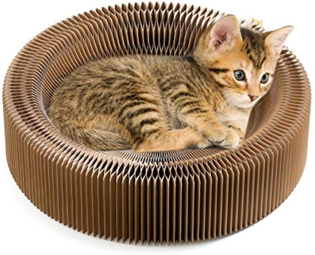 Collapsible Pet Scratcher Lounge Bed Corrugated Cardboard Round Nest